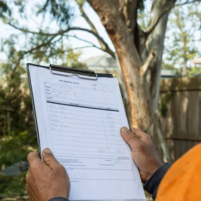 Reading a written tree removal quote on site in Ballarat
