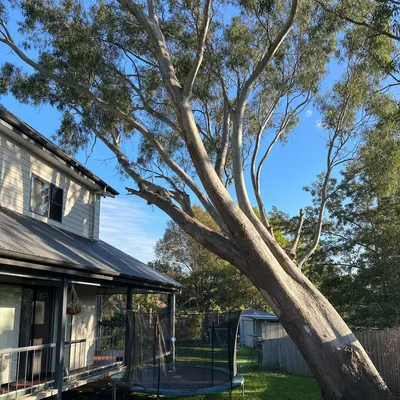 Before: Frozen oak, sectional take-down over a weatherboard, Ballarat