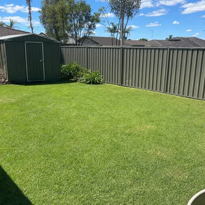After: Storm limb through a boundary fence, Ballarat