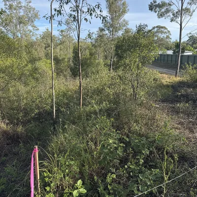 Before: Land clearing for a new build, Delacombe, Ballarat