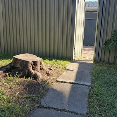 Before: Stump grind, tight backyard access, Sebastopol, Ballarat