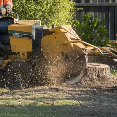Stump Grinding in Ballarat. Below-grade stump grinding so you can replant, returf or repave. Narrow machines available for tight Ballarat backyards.
